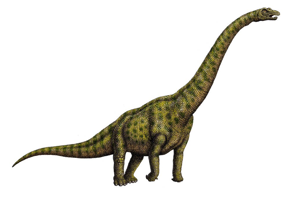 Pukungosaurus